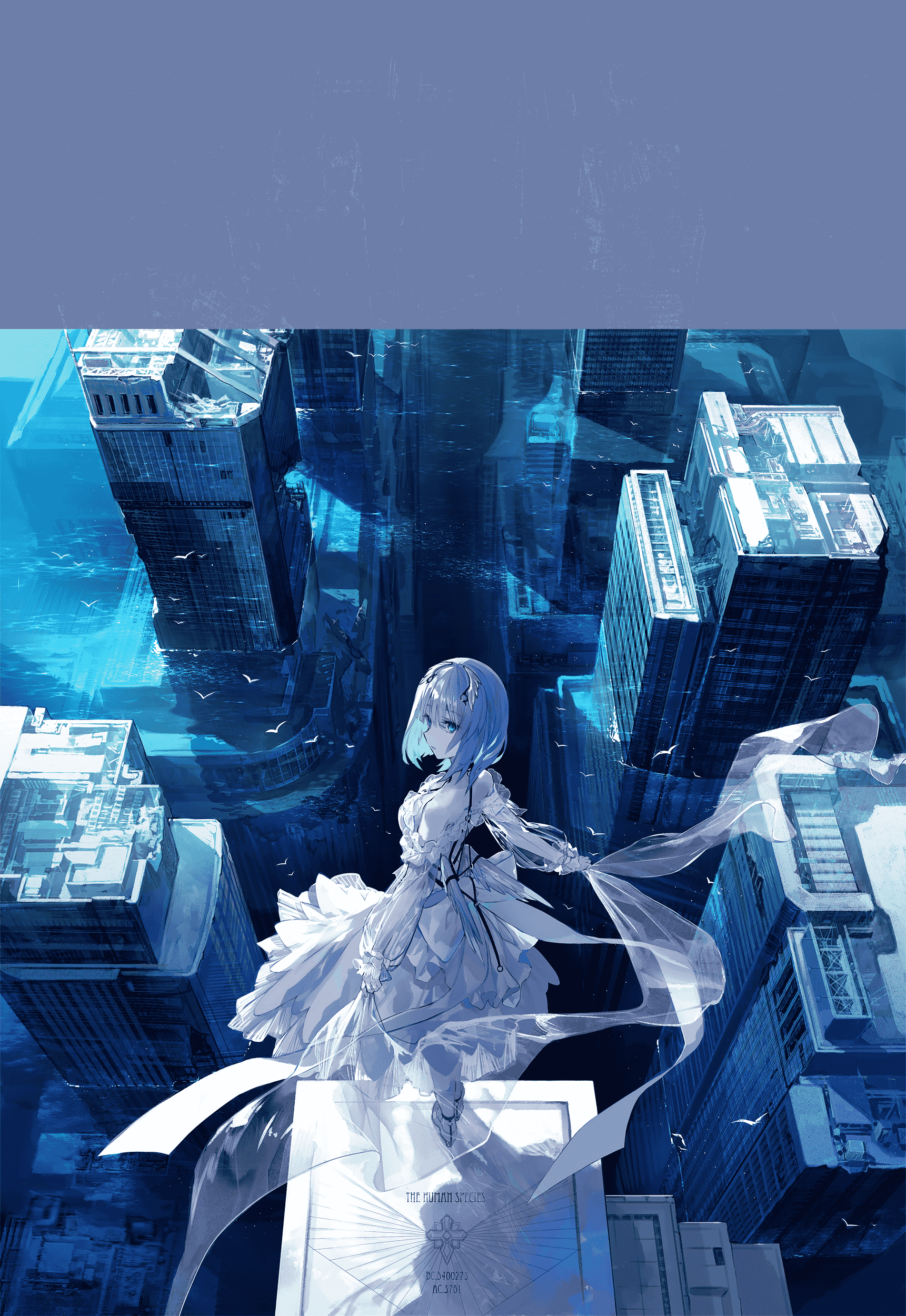 boxmoe_header_banner_img